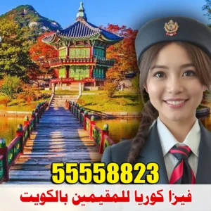 استخراج فيزا كوريا للمقيمين في الكويت، تأشيرة كوريا أونلاين، تقديم فيزا كوريا بدون سفارة